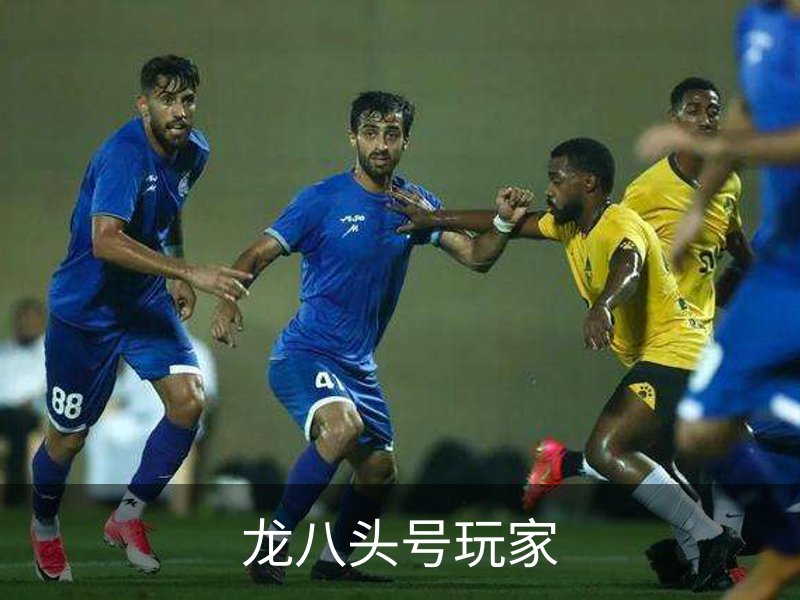 龙八头号玩家介绍